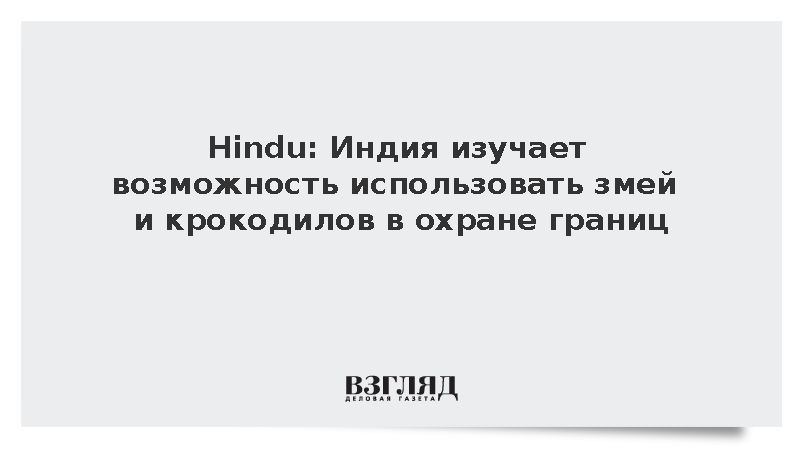 Hindu: Индия изучает возможность использовать змей и крокодилов в ...
