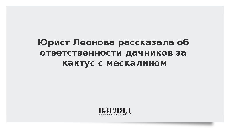 Юрист Леонова рассказала об ответственности дачников за кактус с ...