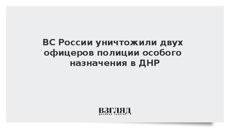 ВС России уничтожили двух офицеров полиции особого назначения в ДНР